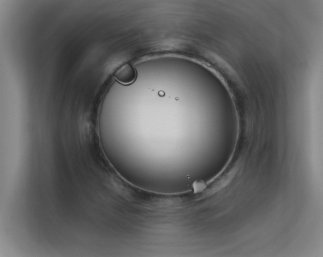 X0000113911210200909241502