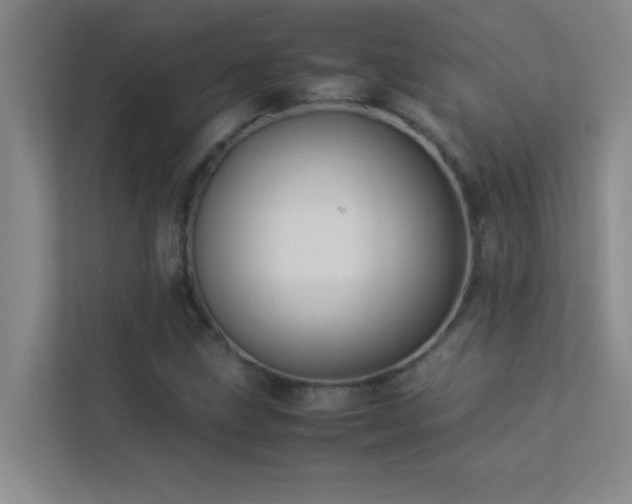 X0000113911211200909241502