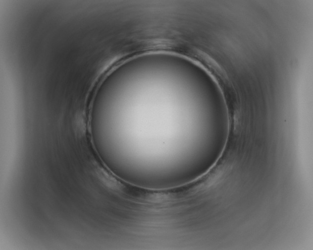 X0000113911212200909241502
