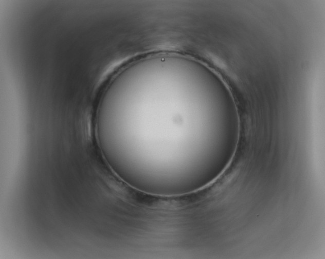 X0000113911214200909241503