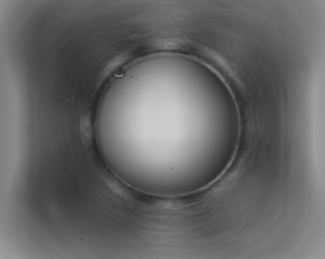 X0000113911218200909241503