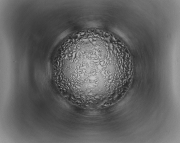 X0000113911219200909241503