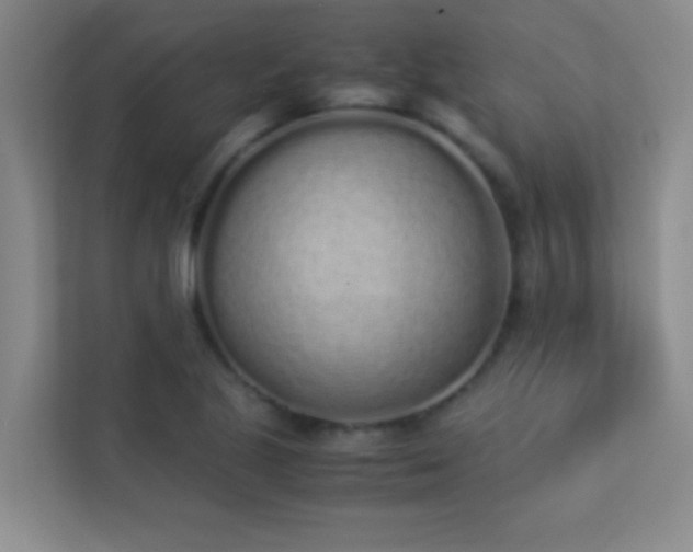 X0000113911221200909241503