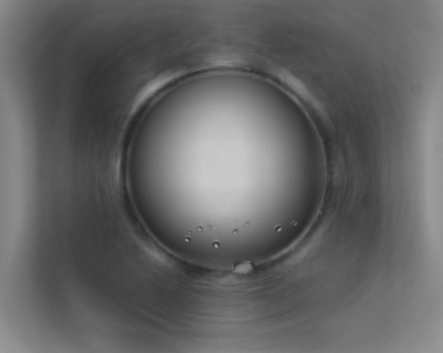 X0000113911222200909241503