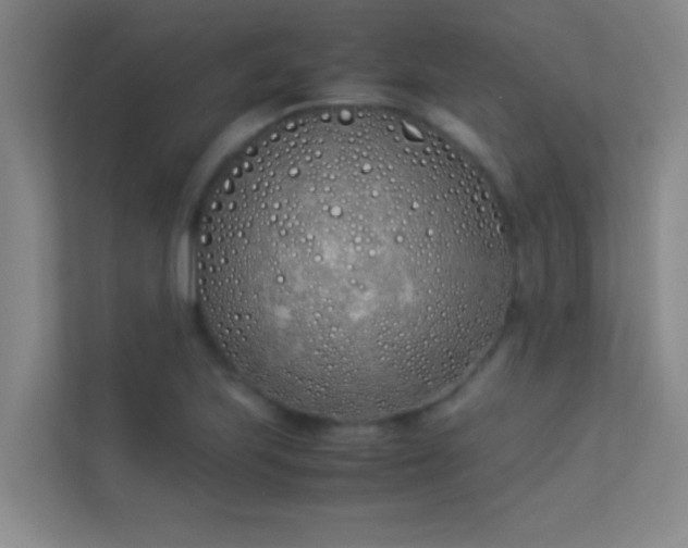 X0000113911223200909241503