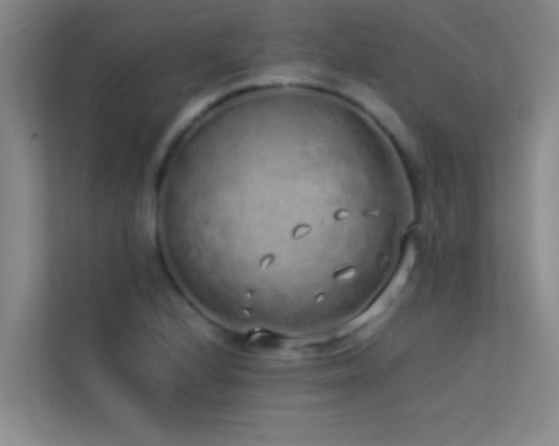 X0000113911224200909241503
