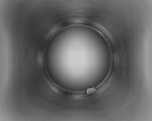 X0000113911225200909241503