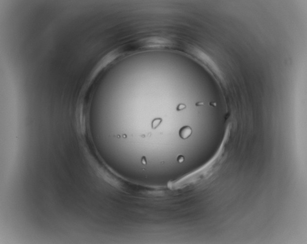 X0000113911227200909241503