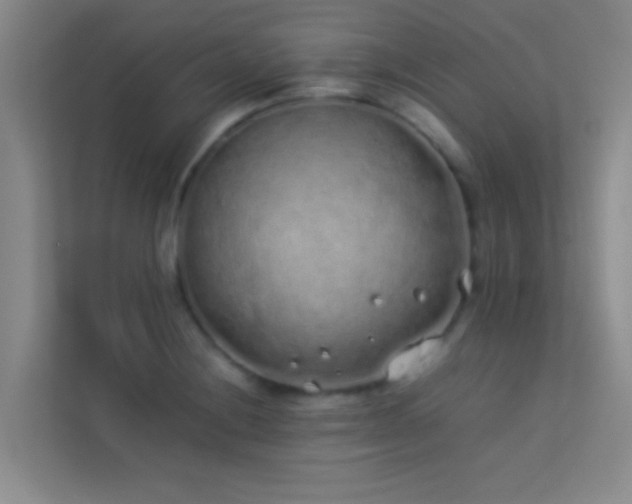 X0000113911228200909241503