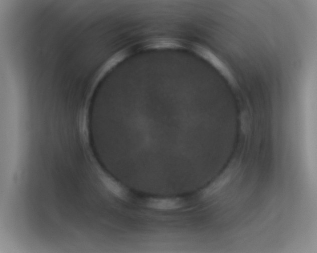 X0000113911229200909241503