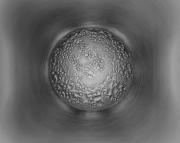 X0000113911231200909241503