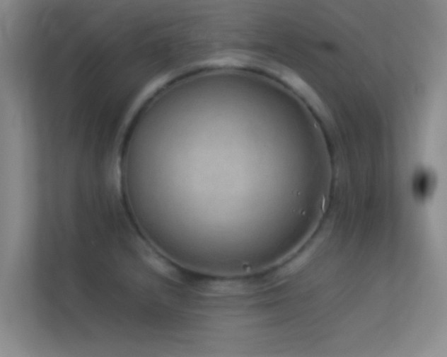 X0000113911232200909241503