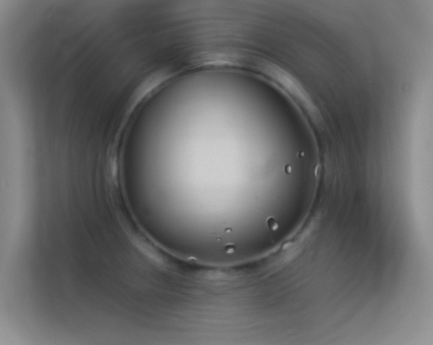 X0000113911234200909241503
