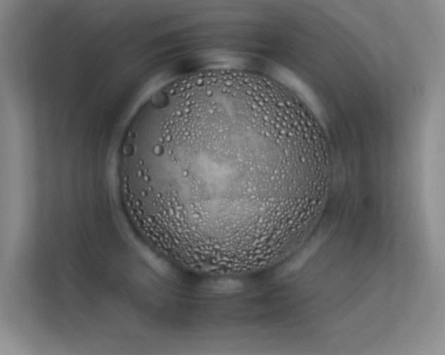 X0000113911235200909241503