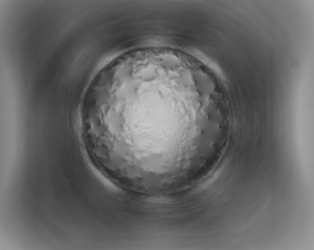 X0000113911239200909241503