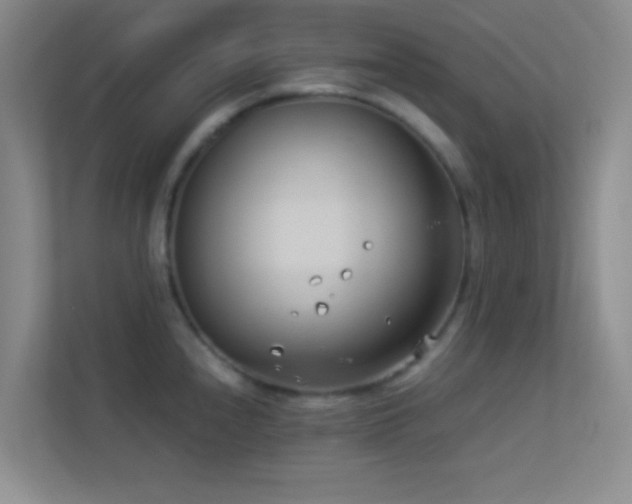 X0000113911240200909241503
