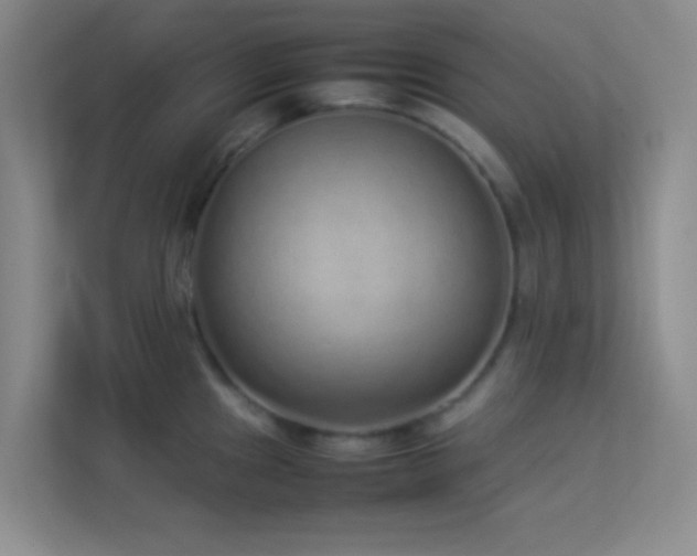X0000113911241200909241503
