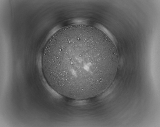 X0000113911243200909241503