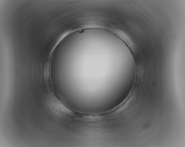 X0000113911244200909241503