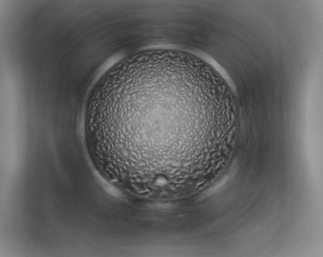 X0000113911245200909241503