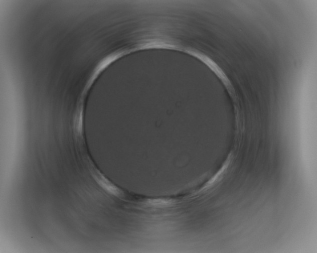 X0000113911246200909241503