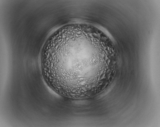 X0000113911247200909241503