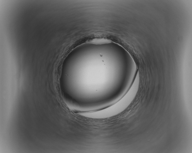 X0000113911249200909241502