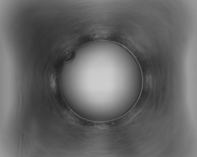 X0000113911250200909241502
