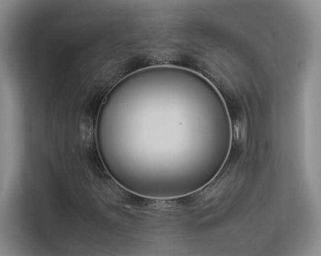 X0000113911251200909241502
