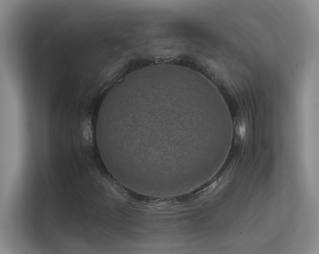 X0000113911252200909241502