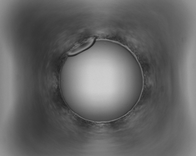 X0000113911253200909241502