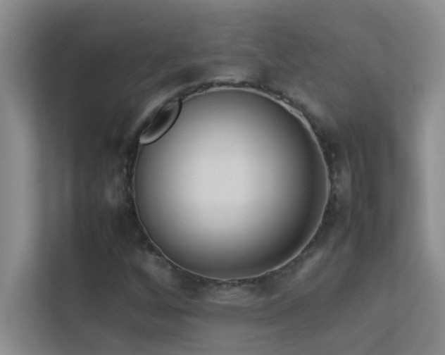 X0000113911256200909241502