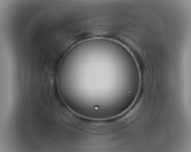 X0000113911257200909241502