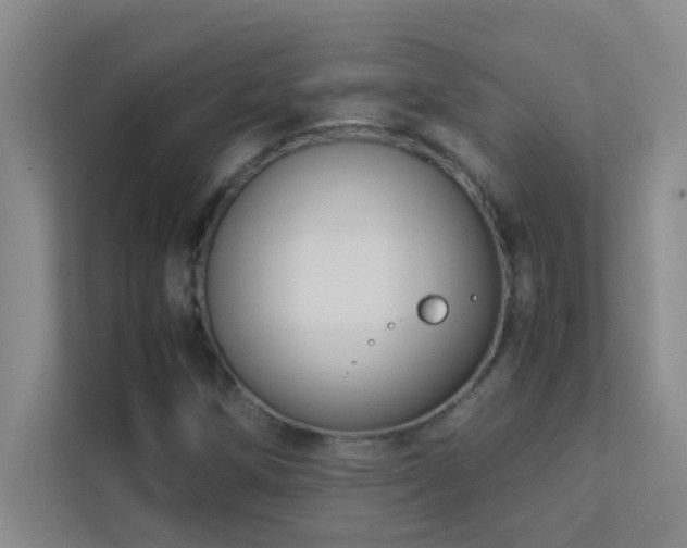X0000113911258200909241502