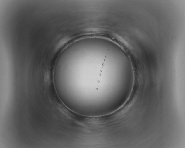 X0000113911259200909241502