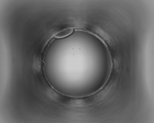 X0000113911260200909241502