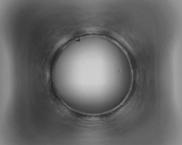 X0000113911261200909241502