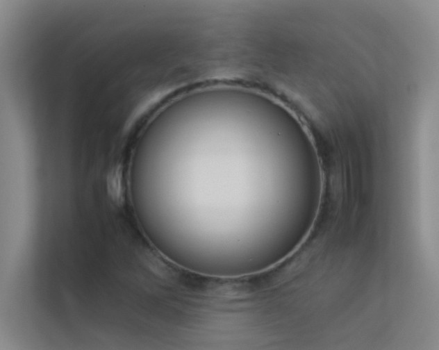 X0000113911262200909241502