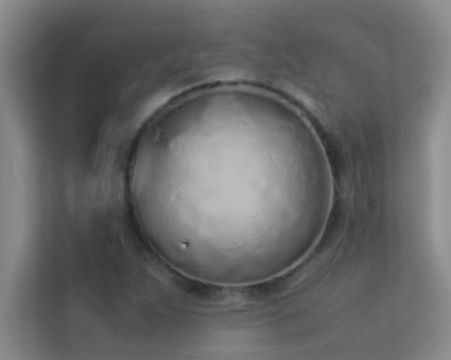 X0000113911263200909241502