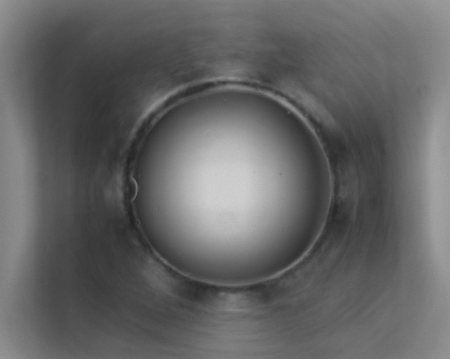 X0000113911264200909241502
