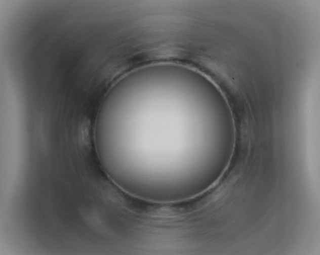 X0000113911265200909241502