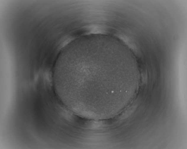 X0000113911266200909241502