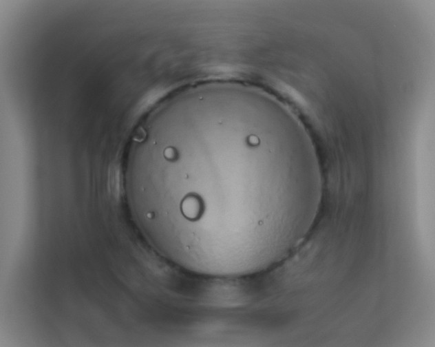 X0000113911267200909241502