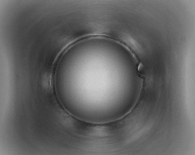 X0000113911268200909241502