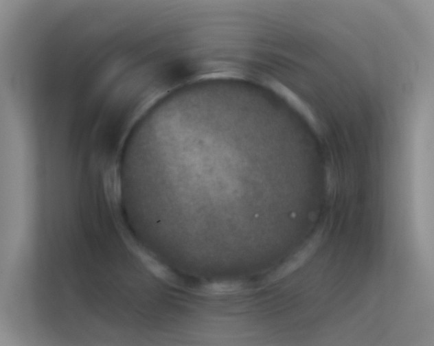 X0000113911274200909241502