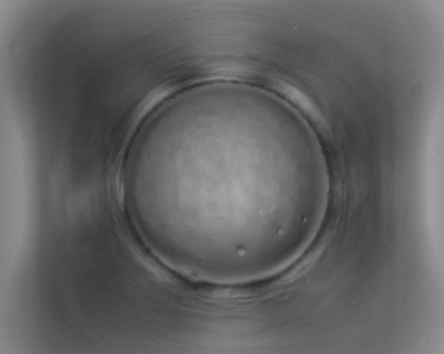 X0000113911275200909241502