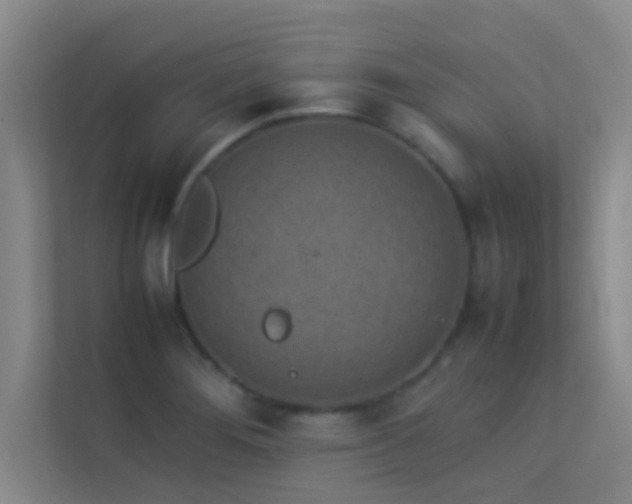 X0000113911276200909241502
