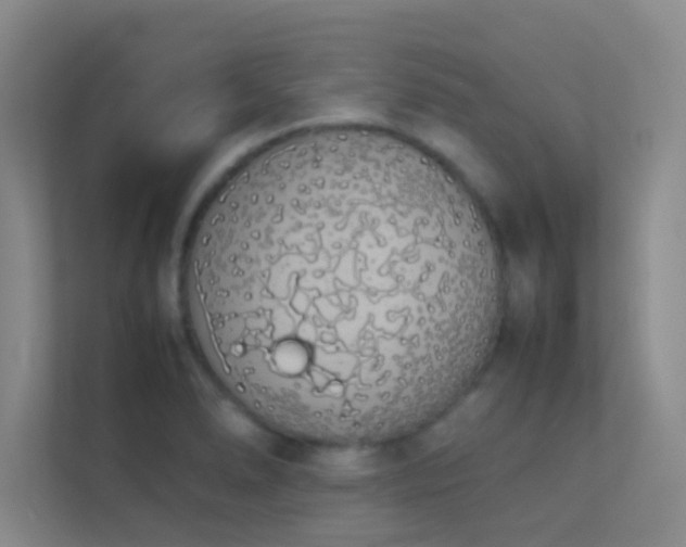 X0000113911278200909241502