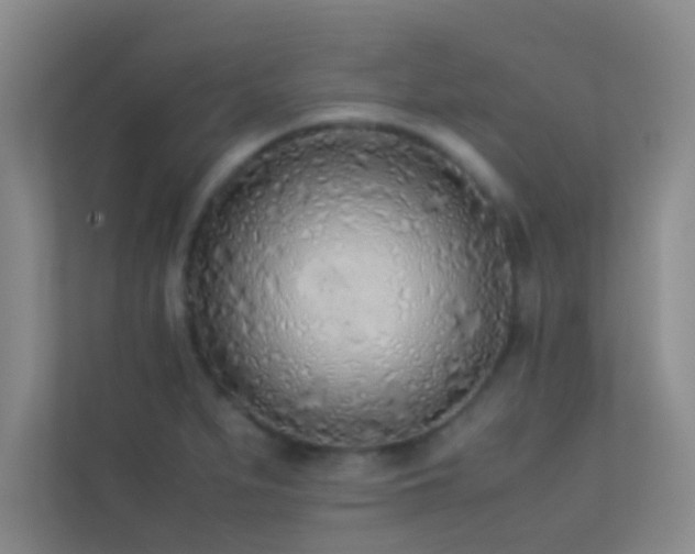 X0000113911279200909241502