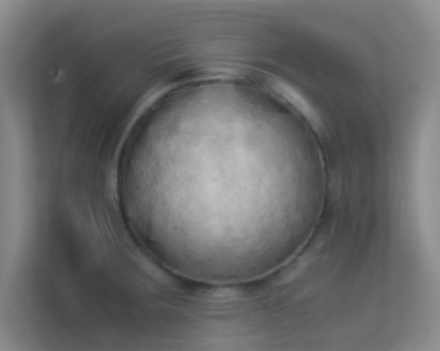 X0000113911283200909241502